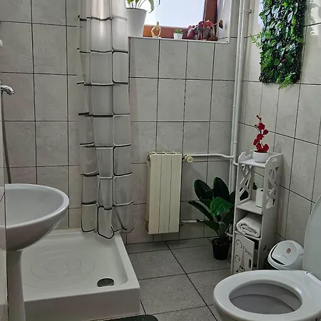Apart-hotel Centre Vmp Free Parking Zărneşti